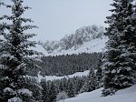 Ancora alle Baite Cassinelli e Corzene in Presolana l'8 febbraio 09 ma con tanta neve fresca!- FOTOGALLERY